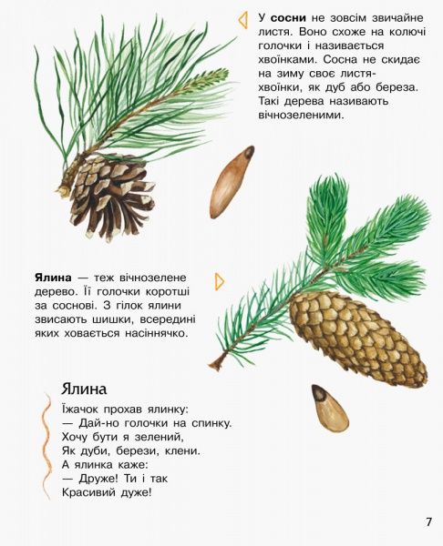 Книга Юлия Каспарова «Енциклопедія дошкільника: Ліс» 978-617-09-3619-6