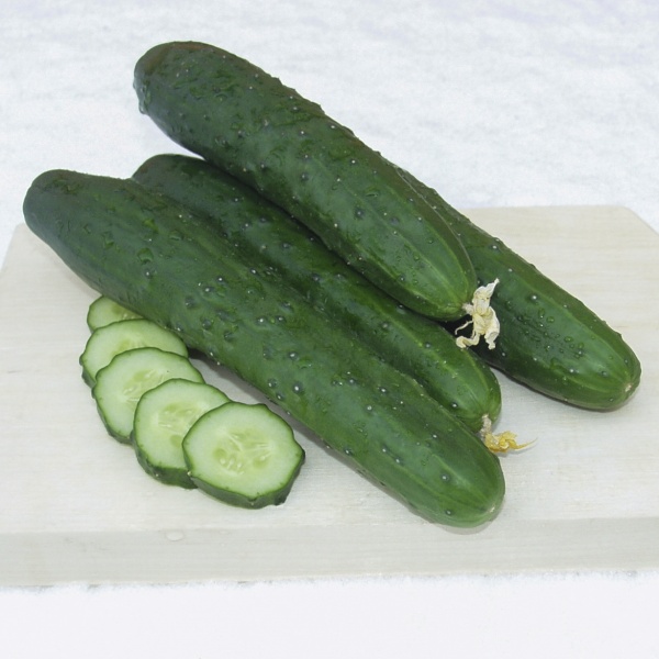 Семена Професійне насіння огурец Ловели F1 10 шт. (4820176693358)