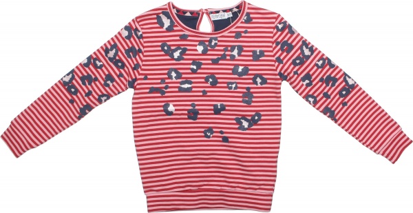 Толстовка для мальчика DJ Dutchjeans р.116 серый D36370-35 