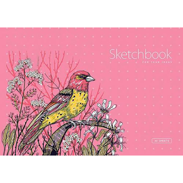 Альбом для малювання на склейці А4 30 аркушів Star Школярик