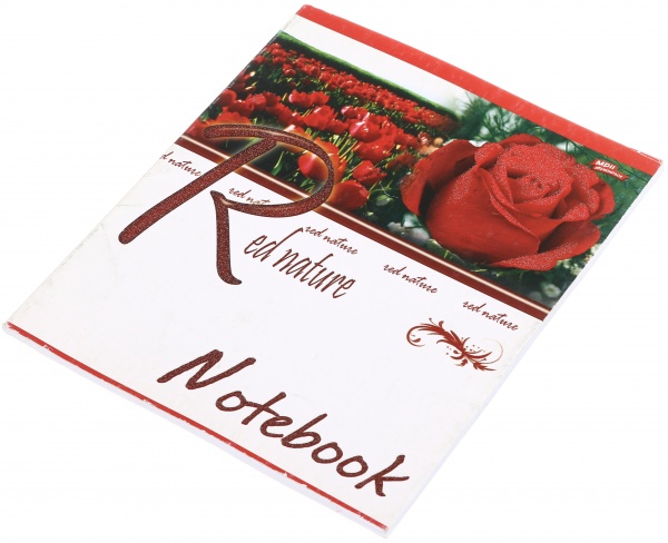 Тетрадь школьная с глитером 48 листов в клеточку в ассортименте Мечты сбываются