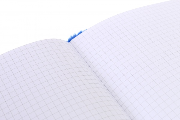 Книга для записей Земля 80 листов А5