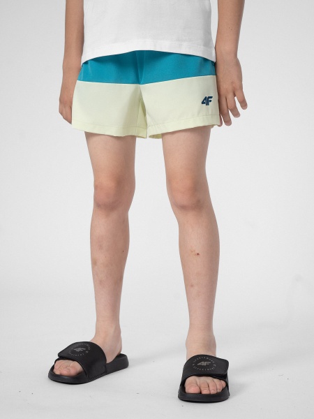 Шорти 4F 4FJSS23UBDSM019-32S р. 158-164 різнокольоровий