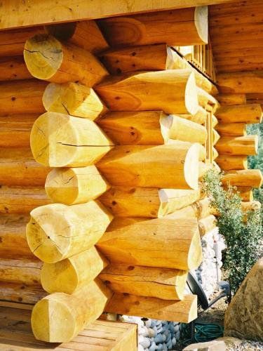 Ґрунтовка Bionic House антисептик з вмістом олії мат 2,8 л