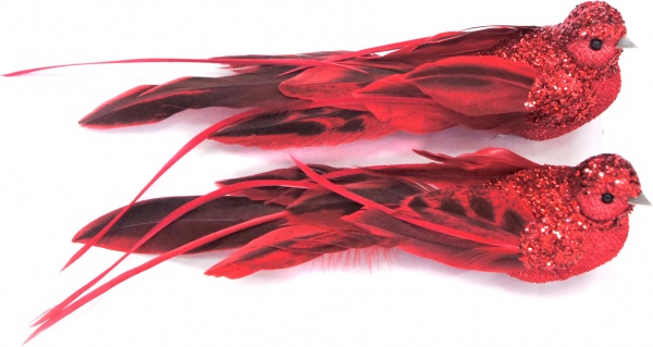 Декорация новогодняя Xinchang Trust-Worthy Import & Export Co Птичка 25 см красная 2 шт. 6 см T21-43