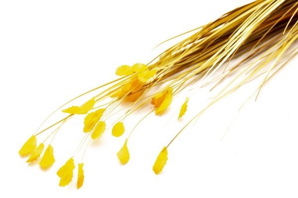 Растение искусственное с 3-мя веточками, 90 см, оранжевая