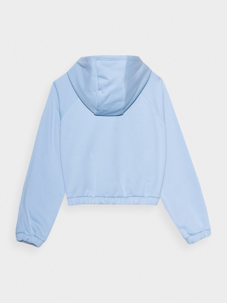 Джемпер 4F SWEATSHIRT F0847 4FSS23TSWSF0847-34S р. XL голубой