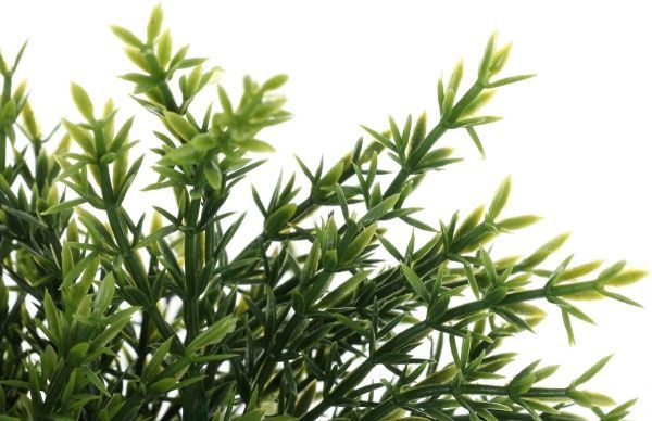 Рослина штучна Хамедорея PFC(NL)-255R