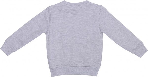 Свитшот 5.10.15. 1F3905 р.92 меланж 