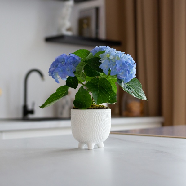 Кашпо керамическое МВМ DH-FLOWERS-26 S WHITE 9 см Белый 