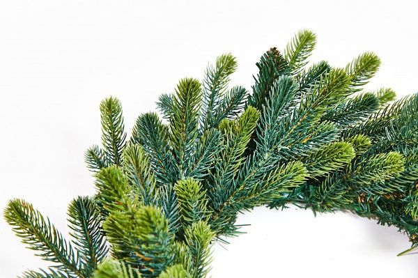 Вінок Лакіпак Яскравий d400 мм 