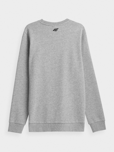 Свитшот 4F SWEATSHIRT M349 4FSS23TSWSM349-27M р. 2XL серый