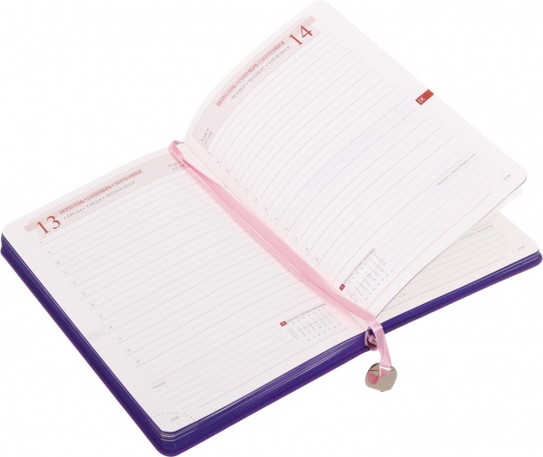 Щоденник датований City Leo Planner City A5 2023