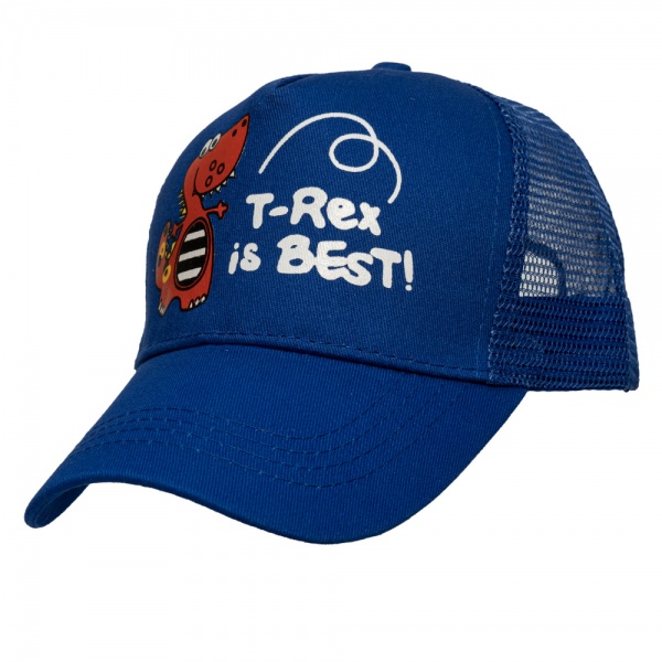 Бейсболка Devilon 3-8 лет р.48-54 синий 518899 