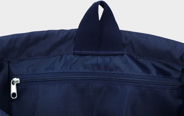 Сумка для обуви 4F 4FJRSS23AGYMM051-33S синий 