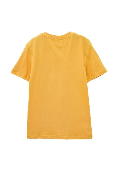 Футболка для мальчиков Роза 210105 р.146 горчичный 