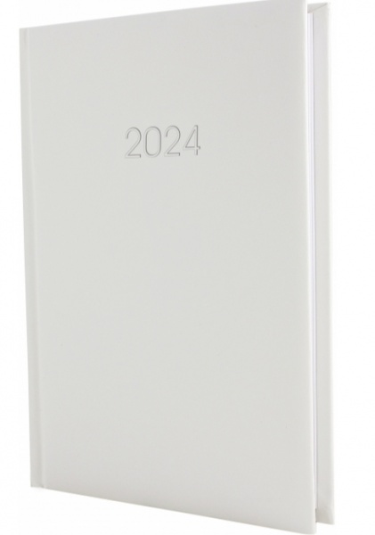 Щоденник датований SAMBA білий Economix A5 2024