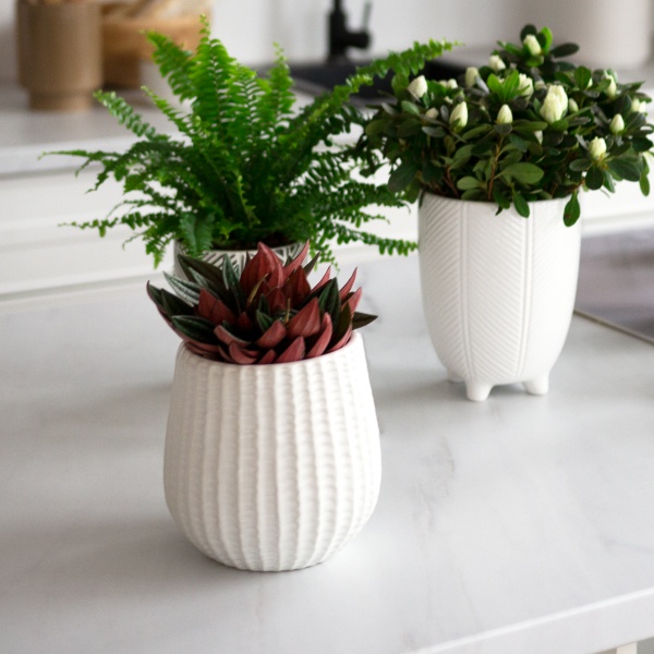 Кашпо керамічне МВМ DH-FLOWERS-25 M WHITE 16,5 см Білий 