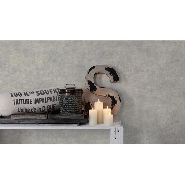 As Creation Dekora Natur 6 95896-1 0.53x10.05 м