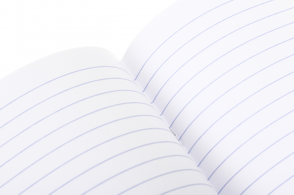 Тетрадь школьная Capybara_25 24 листа в линейку Nota Bene