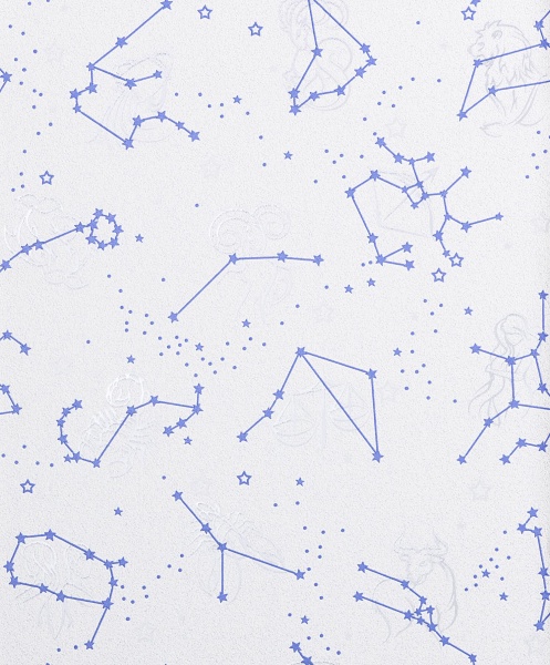 Шпалери вінілові на паперовій основі Bravo 85041BR20 0,53x10,05 м 