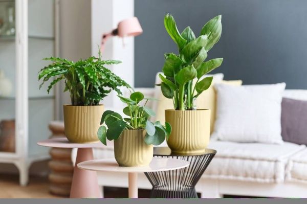 Вазон пластиковый Elho vibes fold round круглый 6,2 л желтый (481308) 