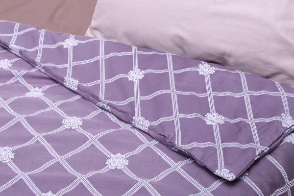 Підковдра Bergamo 2 200x220 см фіолетовий Luna 