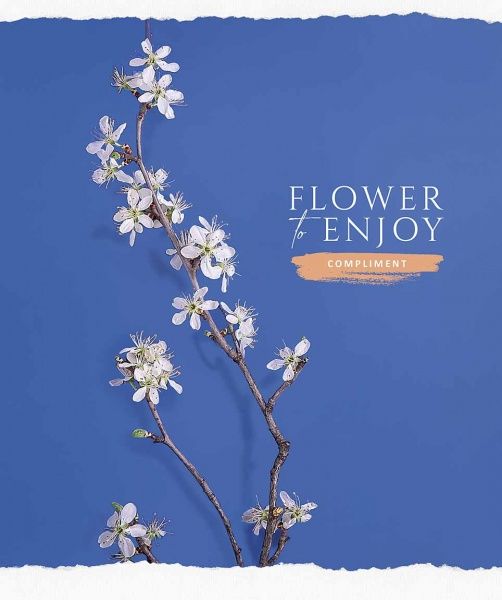 Зошит шкільний B5 60 аркушів у клітинку STAR