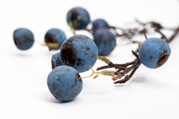 Гілочка декоративна з блакитними ягодами 68 см Девілон