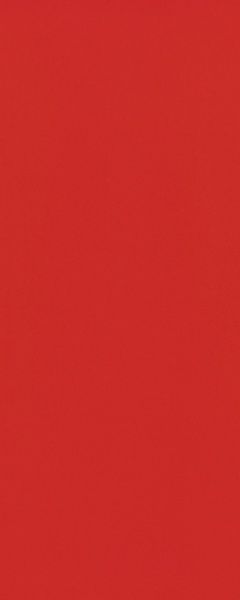 Плитка Атем MONO R 25x60 