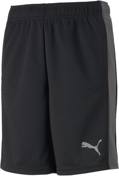 Шорти Puma Active Sports Poly Shorts 58587501 р. 128 чорний