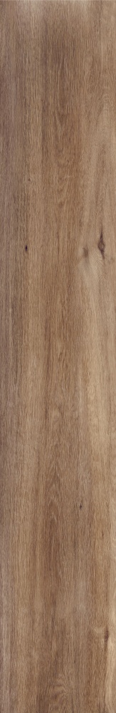 Плитка Allore Group Tahoe Gold F PR R Mat 19,8х120 см