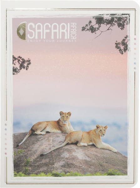 Книга для записей 80 листов А5