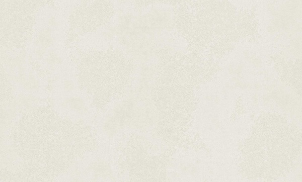 Шпалери вінілові на флізеліновій основі Bravo 81187BR27 1,06x10,05 м 