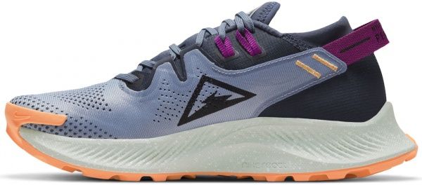 Кросівки Nike Nike Pegasus Trail 2 CK4309-401 р.US 8,5 блакитний