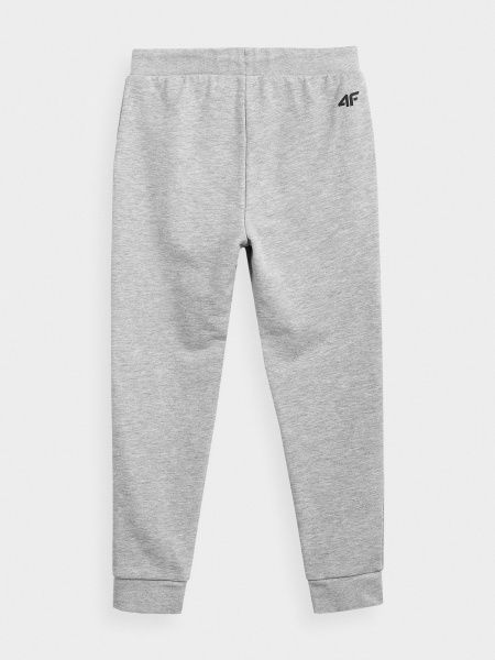Брюки 4F HJL21-JSPMD001A-27M р. 128 светло-серый меланж