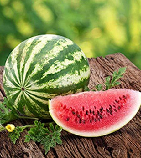 Семена Садовий Світ арбуз Продюсер 2г