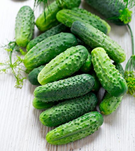 Семена Садовий Світ огурец Джерело 1г