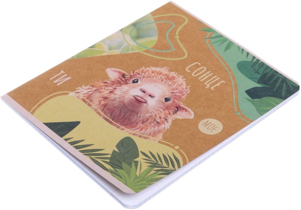 Тетрадь школьная Айвори серия 1 48 листов в клеточку Поділля