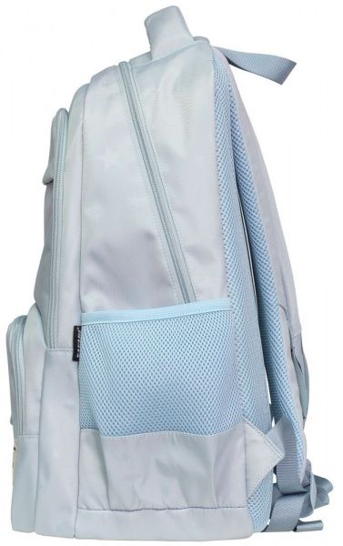 Ранец школьный Safari 2 отделения 21-195L-1