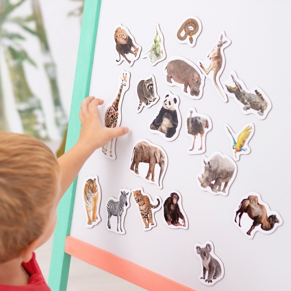 Набор магнитов Magdum Зоо фото ML4031-02 EN