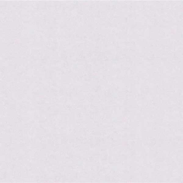 Шпалери зі спіненого вінілу Bravo категорія 538 84005BR82 1,06x10,05 м 