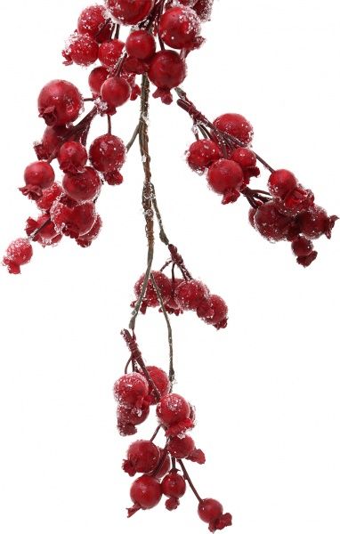 Гирлянда хвойная внутренняя 1,5м с рябиной RS1T675 