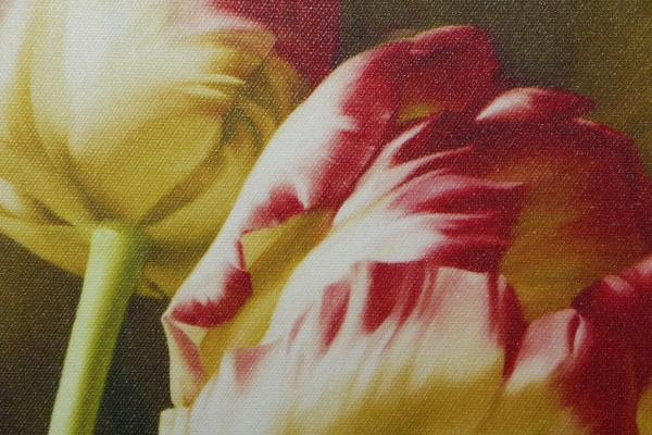 Репродукция Романтизм 528-16 28x50 см 