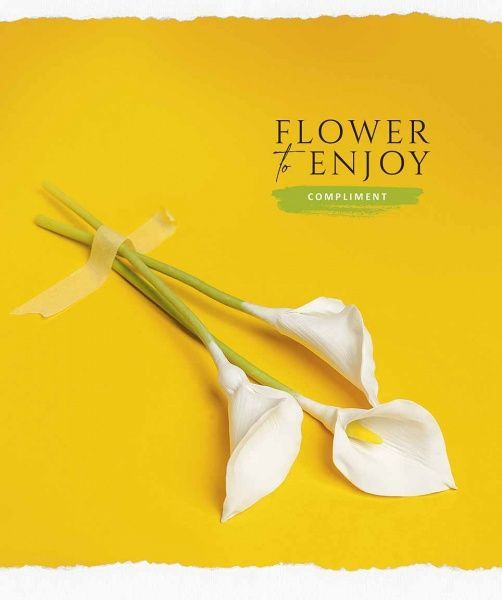 Зошит шкільний B5 60 аркушів у клітинку STAR