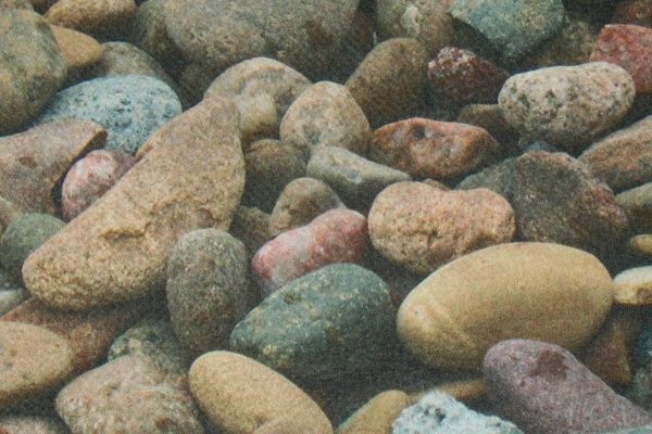 Коврик New Way Dolphin SM-003 0,45х0,75 м