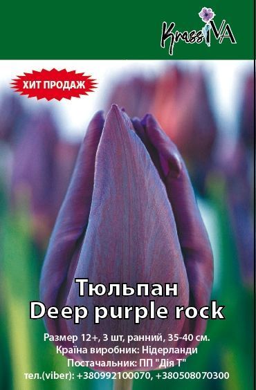 Луковица Тюльпан Deep purple rock 3 шт. 