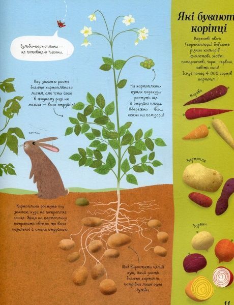 Книга Эмили Боун «Усе починається з насіння…як росте їжа» 978-617-7579-21-1