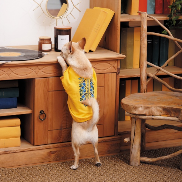 Футболка Pet Fashion Maria р. XS дівчинка