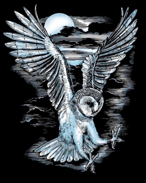 Набор для творчества Sequin Art Artfoil Silver Barn Owl SA0537